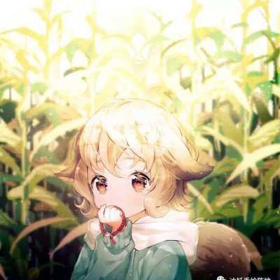 浪姐直播